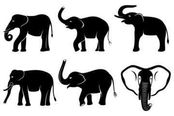 Black silhouettes of elephants