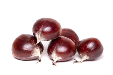 Obraz premium Close up view of chestnuts isolated on a white background.