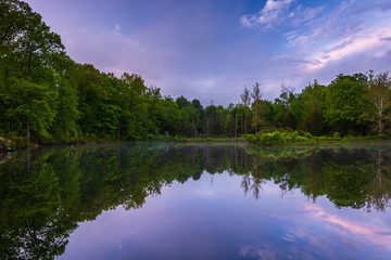 Fototapeta na wymiar Reflections at a pond in Delaware Water Gap National Recreationa