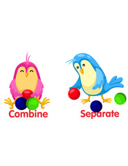 cute birds with opposite words