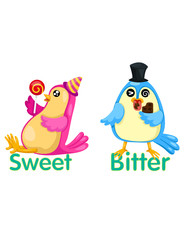 cute birds with opposite words