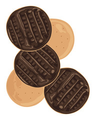 chocolate biscuit