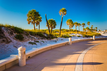Sand dunes and palm trees along a path in Clearwater Beach, Flor