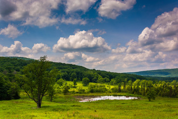 Fototapeta na wymiar Small pond at Canaan Valley State Park, West Virginia.