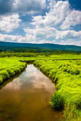 Fototapeta na wymiar Small stream and distant mountains at Canaan Valley State Park,