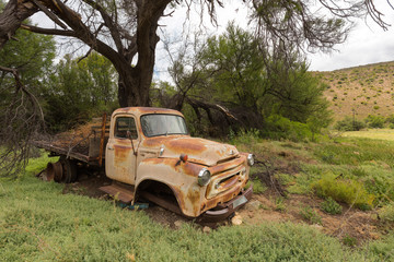 Old Truck under a tree on a farm
