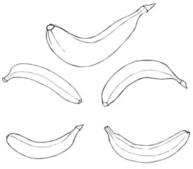 Delightful garden - Banana