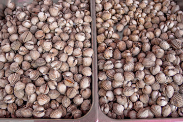 A background of fresh cockles for sale at a market