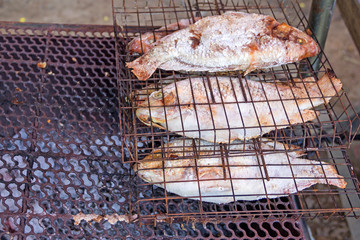 Grilled Tilapia fish in street market of Thailand.