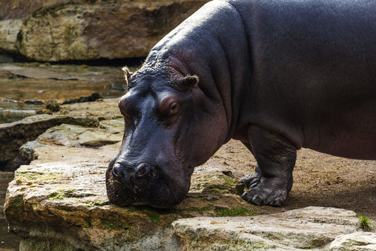 Amneville Zoo, September