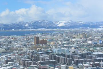 Obraz premium Cityscape of Hakodate