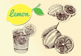 lemon citrus vector set