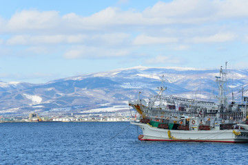 Fototapeta premium The port of Hakodate in Hokkaido