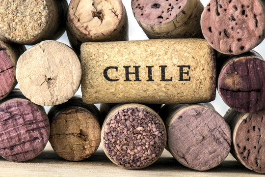 Wine bottle corks of Chile 05