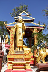 Fototapeta premium goldene Buddhastatue