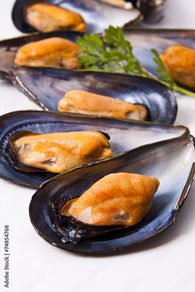 Canvas Prints mussels isolated on white background - Canvas Prints