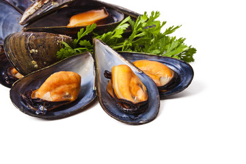 mussels isolated on white background