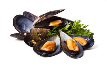 mussels isolated on white background - obrazy, fototapety, plakaty