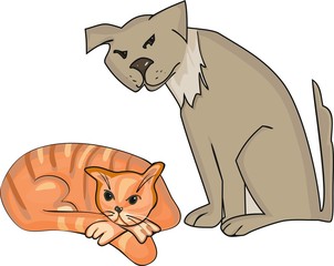 Dog and ginger cat