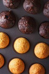 chocolate and vanilla muffins in baking dish macro. Vertical