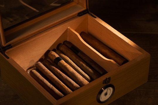The art of cigars