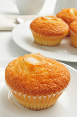 coffee and magdalenas, typical spanish plain muffins