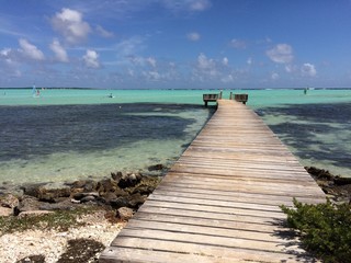 Tropical bay on Bonaire