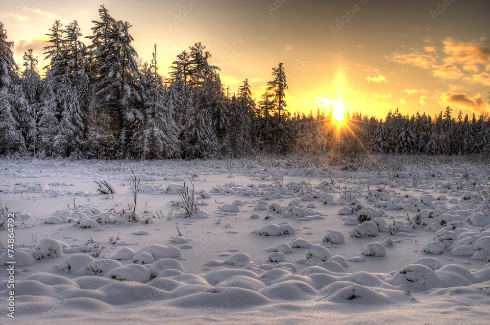 Wall mural Sunset Over Snowy Fielf