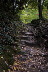 Smoky Mountains Stairway