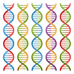 Set of DNA symbols for science and medicine. Vector design.
