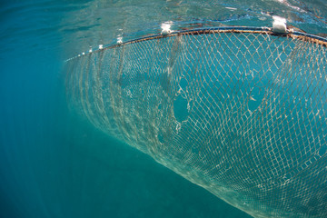 Fishing Net