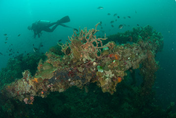 Naklejka na ściany i meble Diver, boat wreck in Ambon, Maluku, Indonesia underwater
