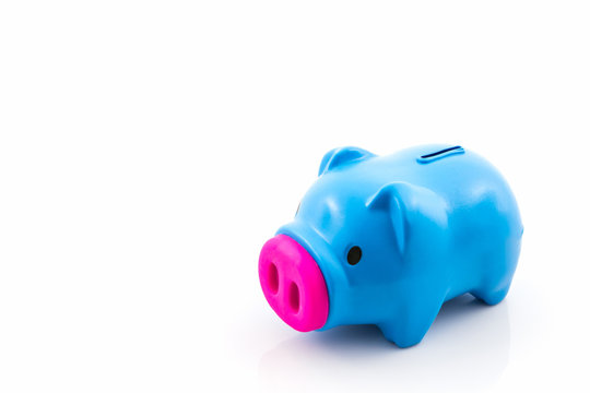 Blue piggy bank saving .