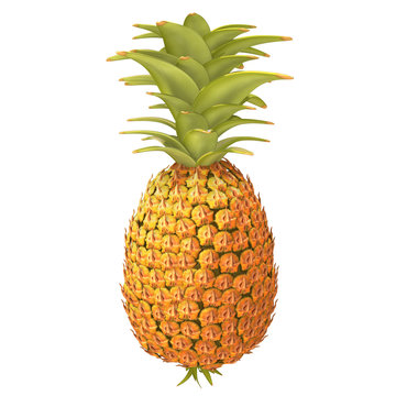Pineapple