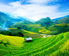 Zelfklevend Fotobehang Rice fields on terraces in vietnam © cristaltran