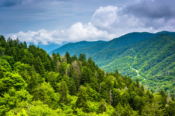 Obraz premium Dramatic view of the Appalachian Mountains from Newfound Gap Roa