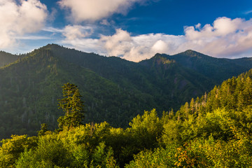 Evening light on the Smokies, seen from an overlook on Newfound