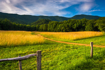 Fototapeta na wymiar Fence and field at Cade's Cove, Great Smoky Mountains National