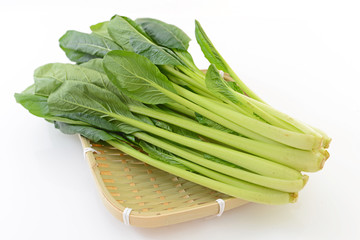 新鮮な小松菜