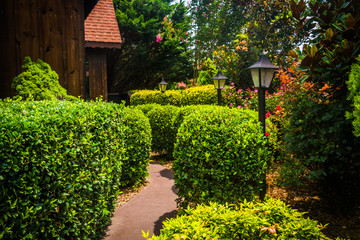 Garden and path in Helen, Georgia.