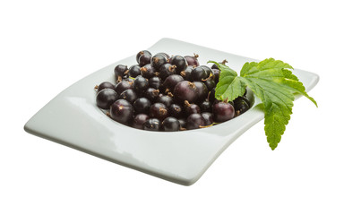 Black currant