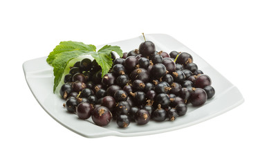 Black currant