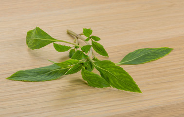 Bergamot leaves