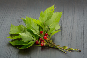 Stone bramble