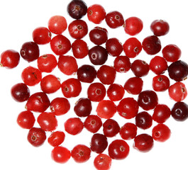 cranberries isolated white closeup