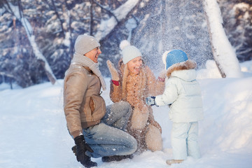 Family fun in a winter - 74883517