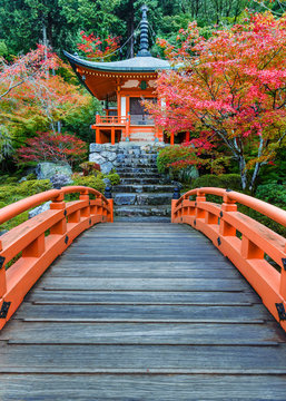 Fototapeta Daigoji Temple in Kyoto