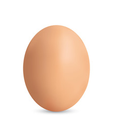 Egg on white background. Vector