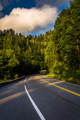 Newfound Gap Road, in Great Smoky Mountains National Park, Tenne