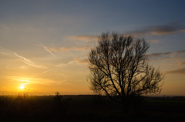 Fototapeta na wymiar Sunset view